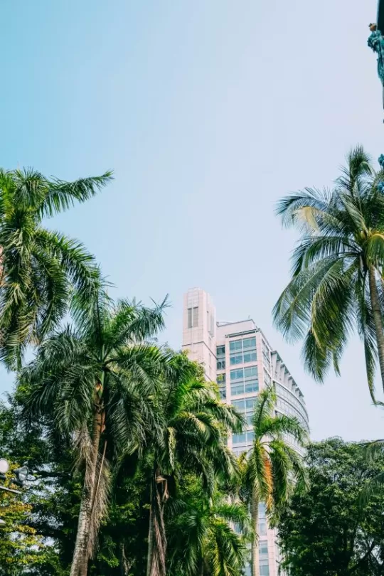 Commercial Properties